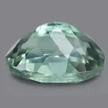 06-337x387