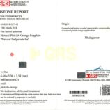 WhatsApp Image 2026-0wreff4-02 at 10.05.16 AM